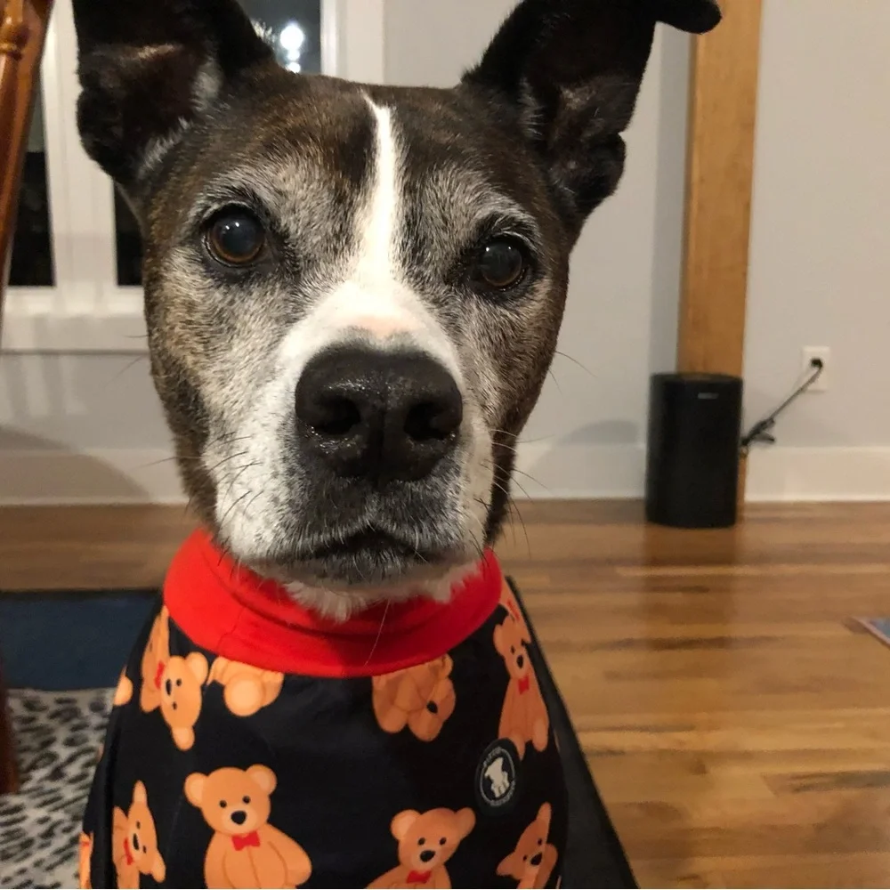 Pittie Clothing Company matching PJ sets. PRICE PER ITEM